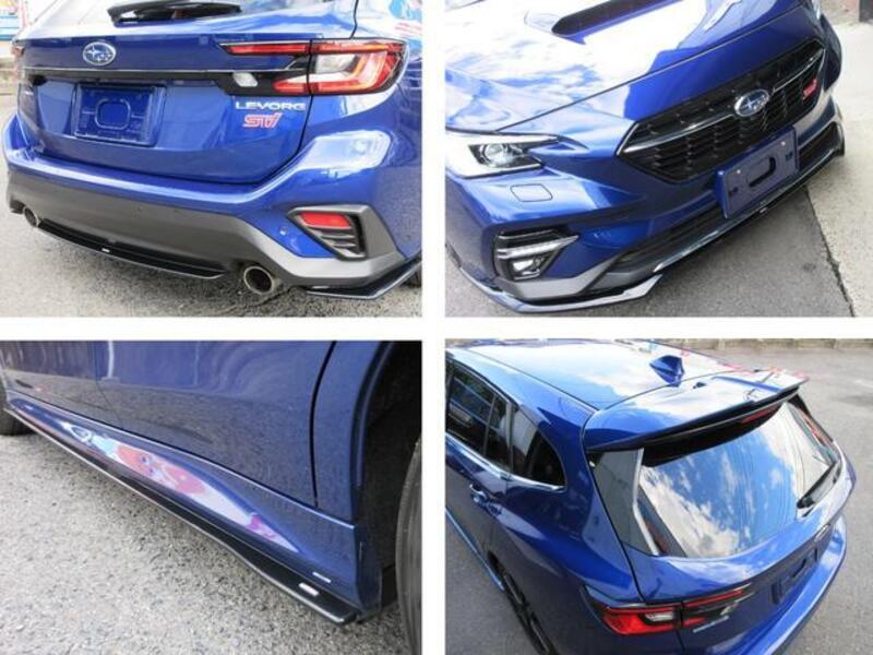 LEVORG