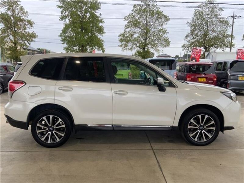 FORESTER