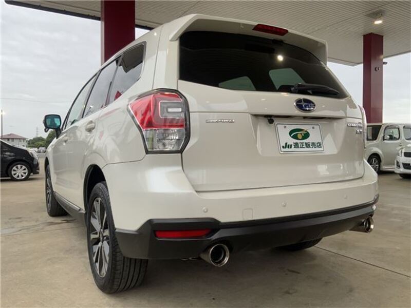 FORESTER