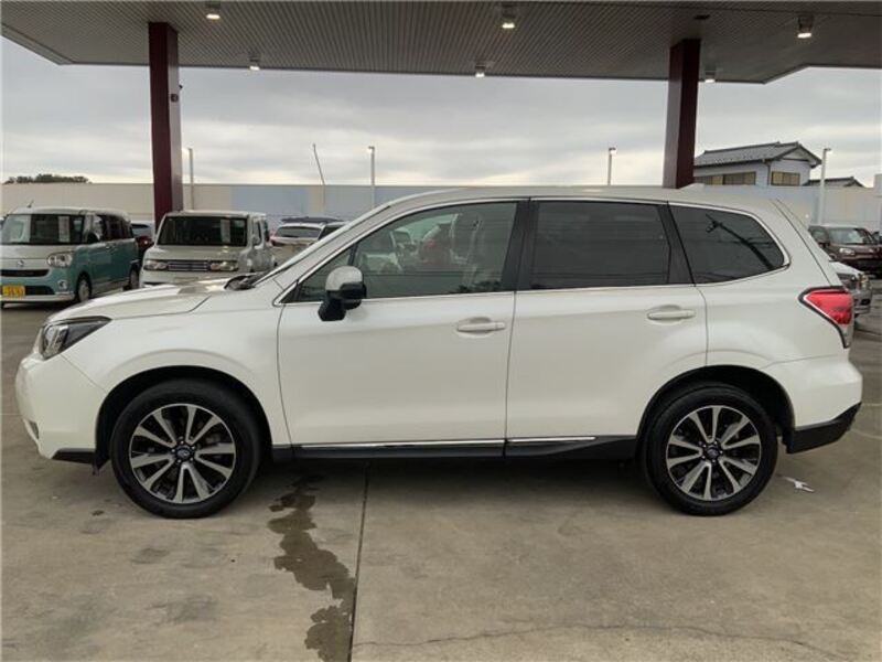 FORESTER