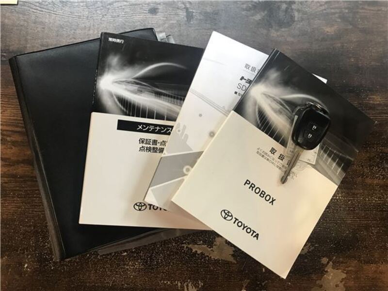PROBOX VAN