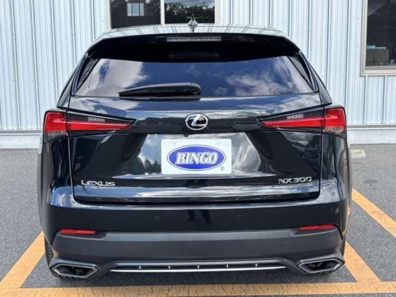 NX