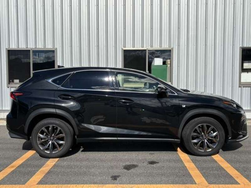 NX