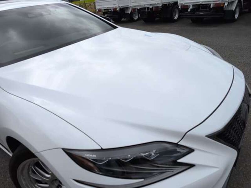 LS
