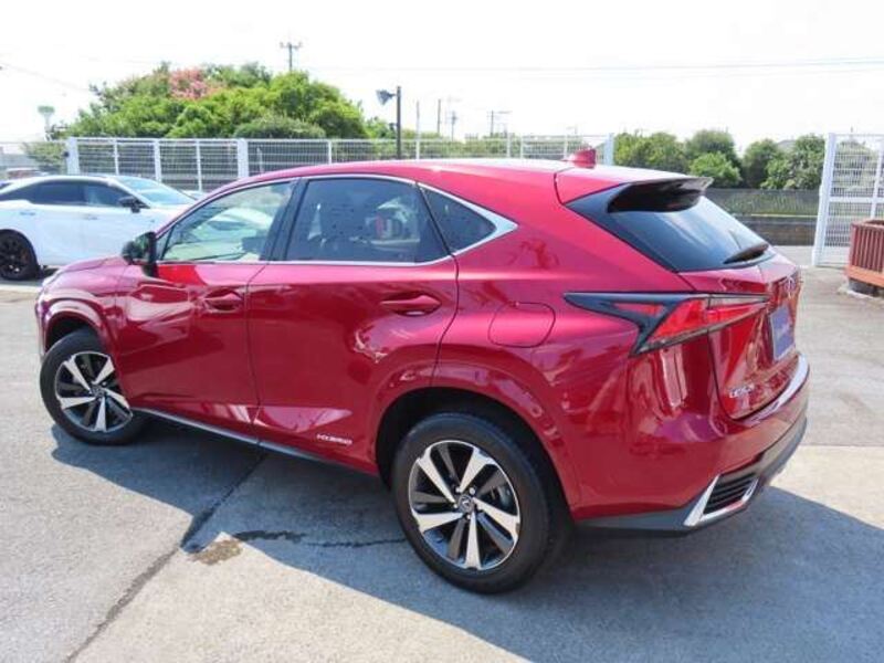 NX