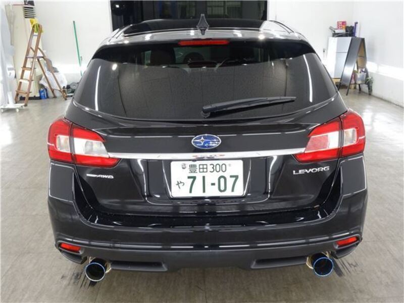 LEVORG