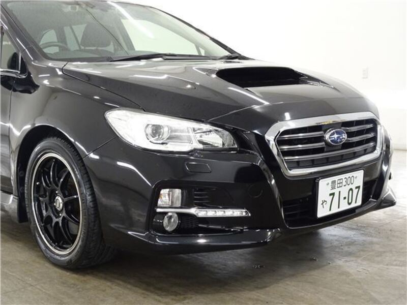 LEVORG