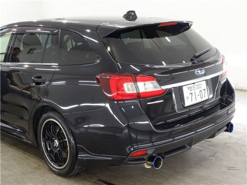 LEVORG