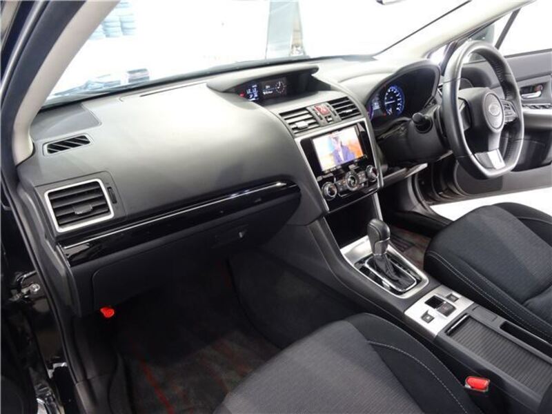LEVORG
