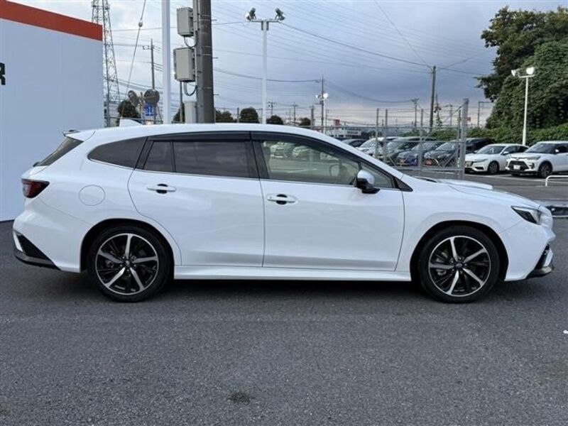 LEVORG