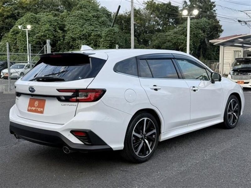 LEVORG