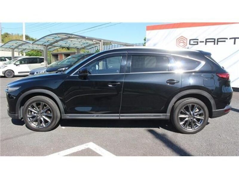 CX-8