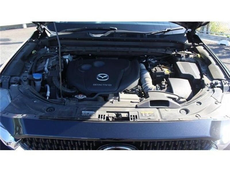 CX-8