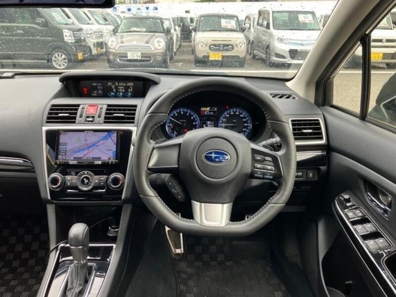 LEVORG