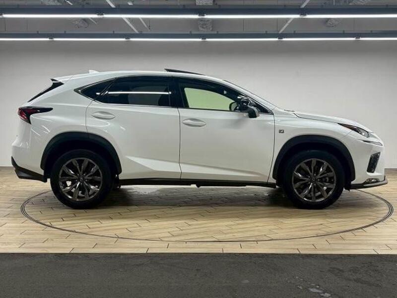 NX