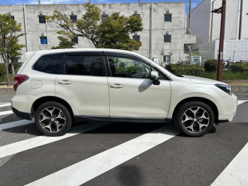 FORESTER