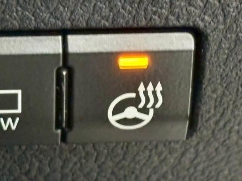 NX