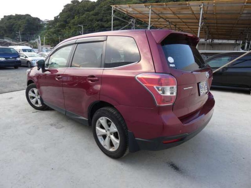 FORESTER