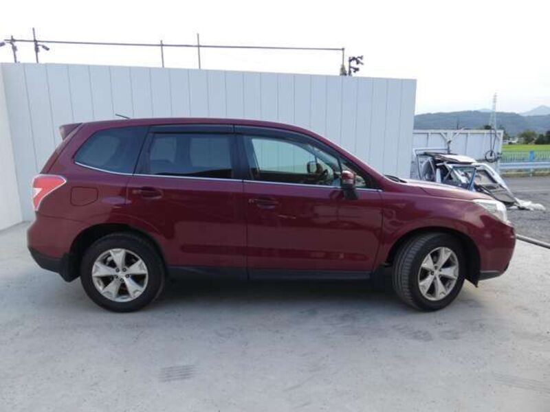 FORESTER