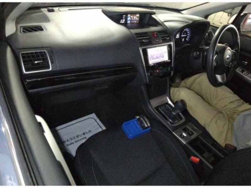 LEVORG