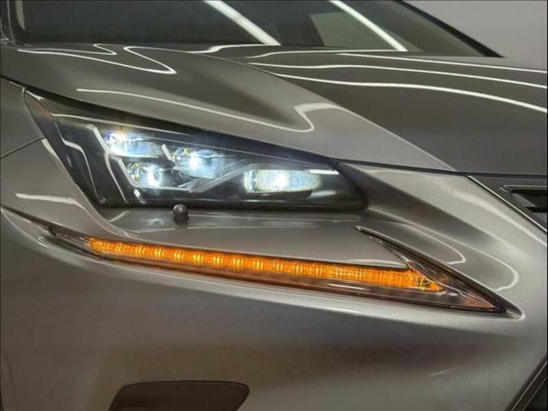 NX