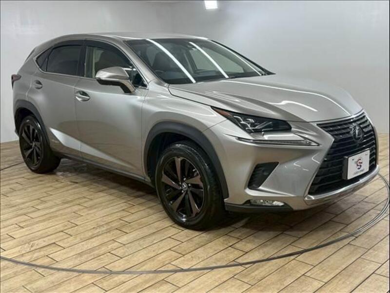 NX