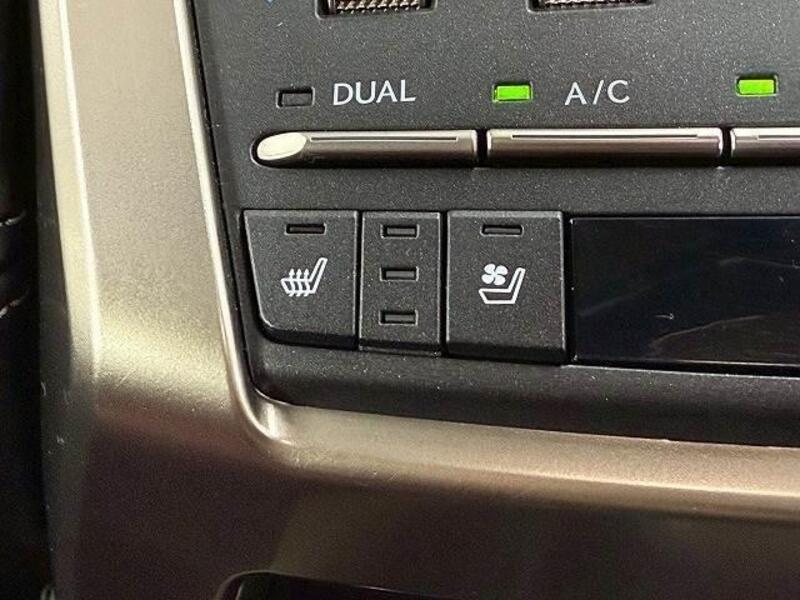 NX