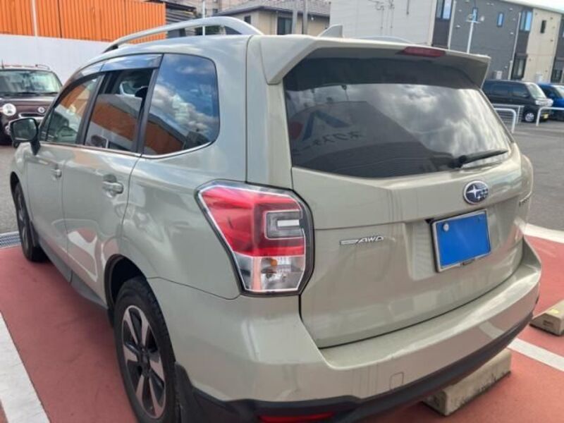 FORESTER