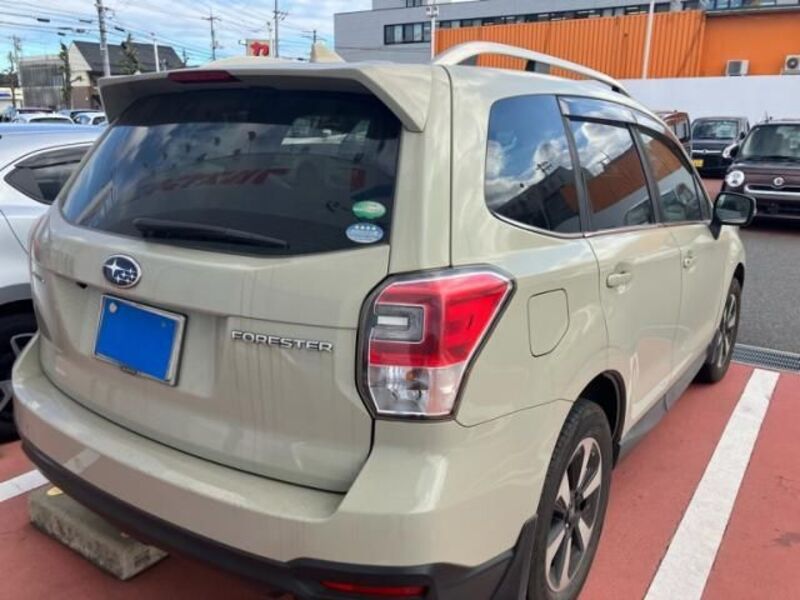 FORESTER