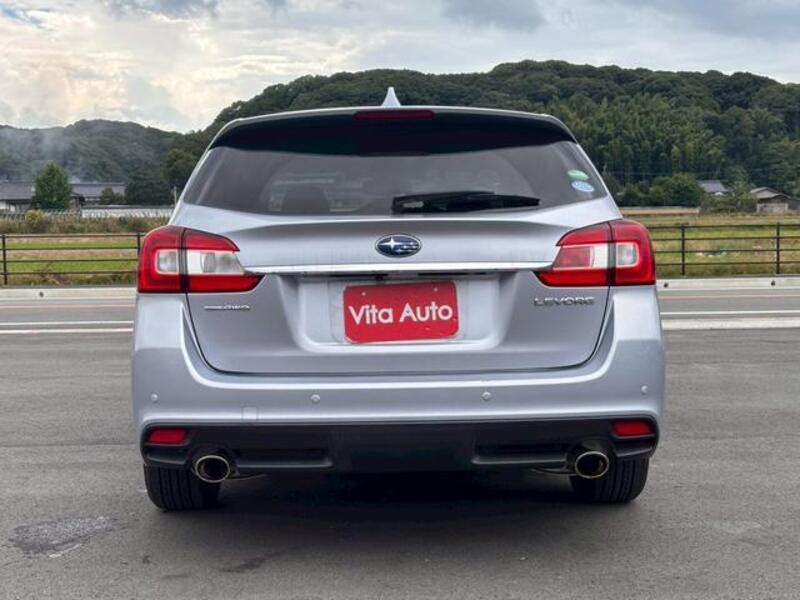 LEVORG
