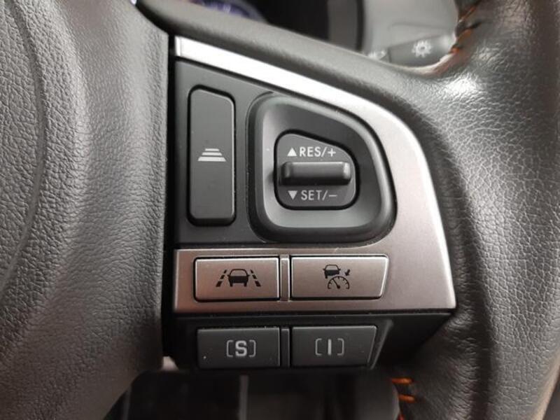 XV