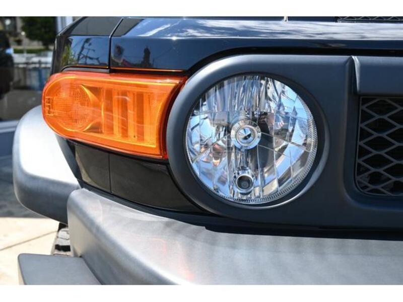FJ CRUISER