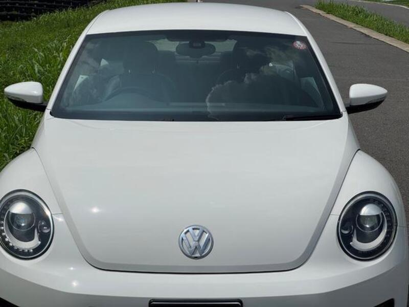 THE BEETLE
