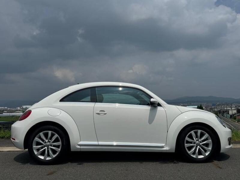 THE BEETLE