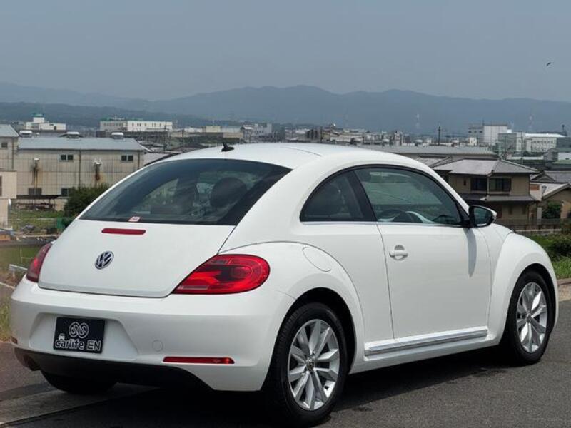 THE BEETLE