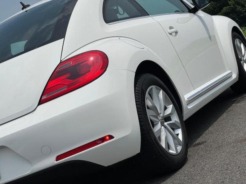 THE BEETLE