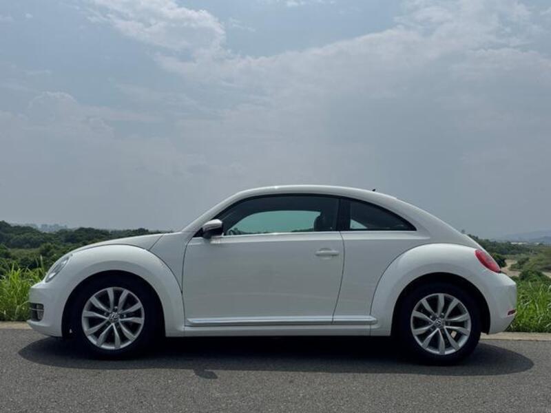 THE BEETLE
