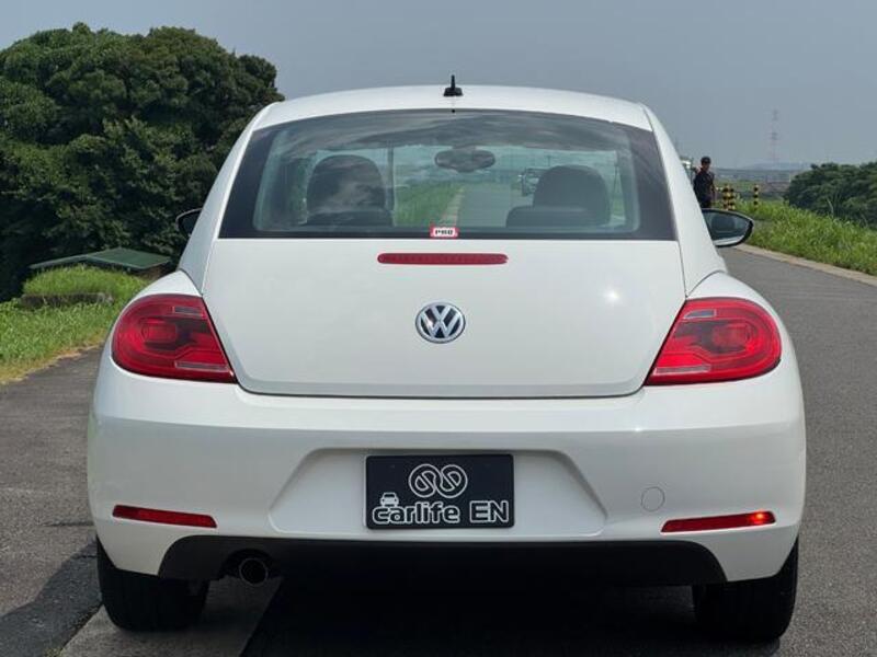 THE BEETLE