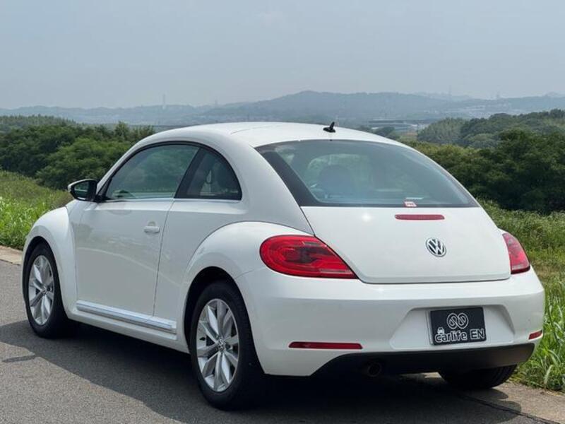 THE BEETLE
