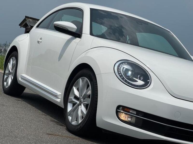 THE BEETLE