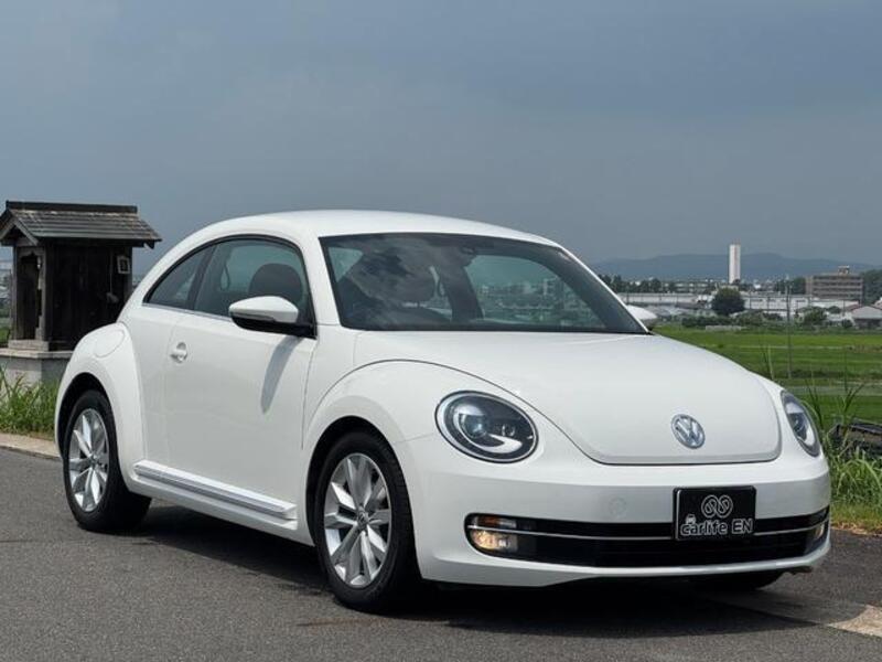 THE BEETLE