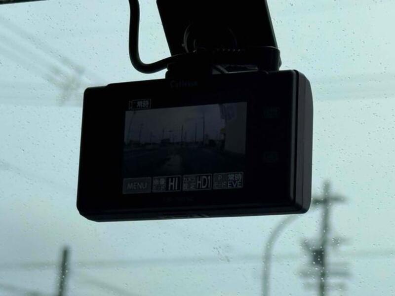 DAYZ ROOX