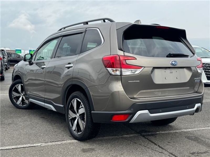 FORESTER