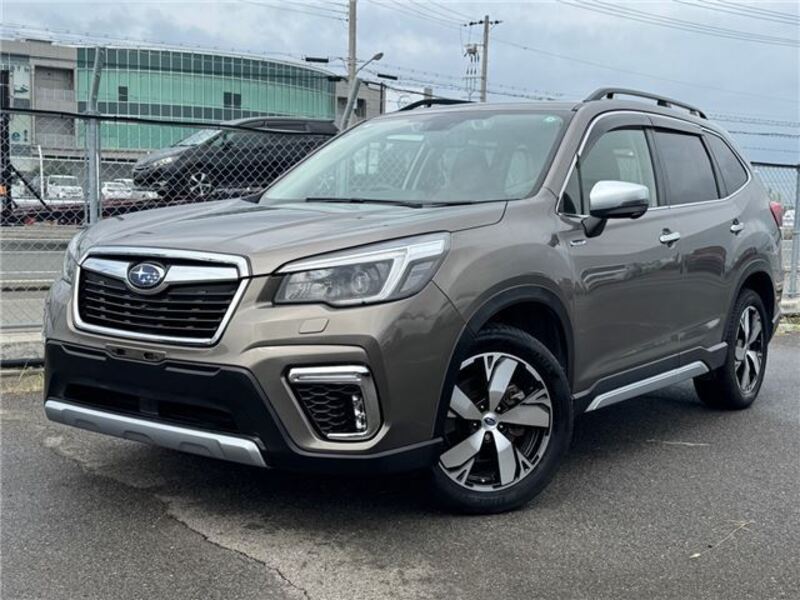 FORESTER