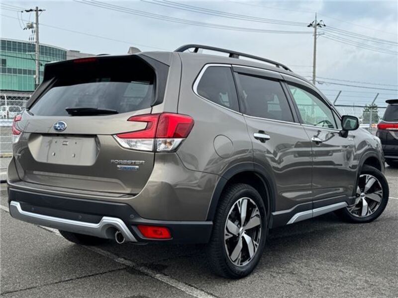 FORESTER