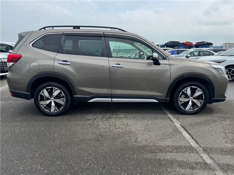 FORESTER