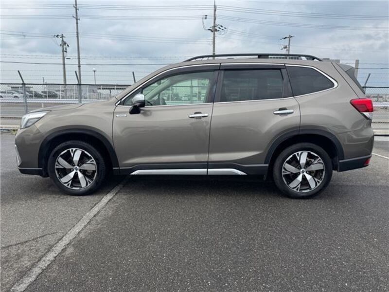 FORESTER