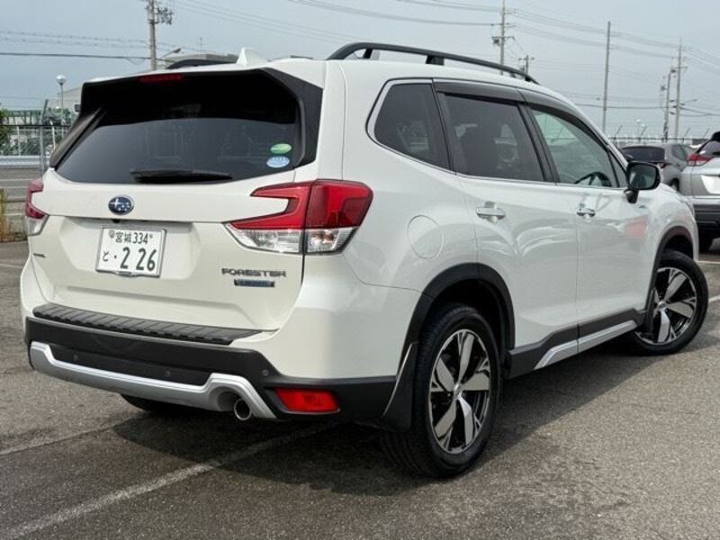 FORESTER