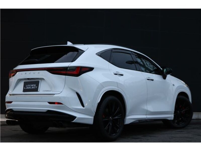 NX
