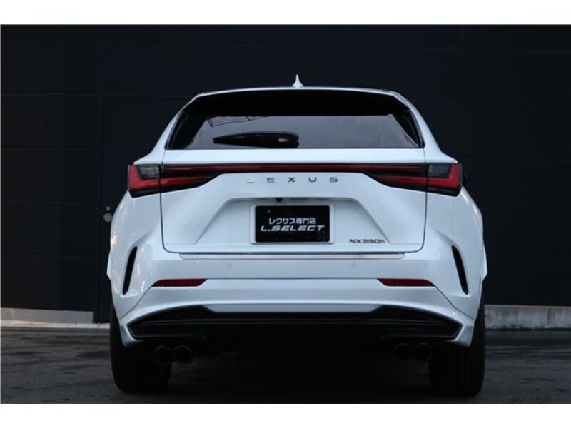 NX